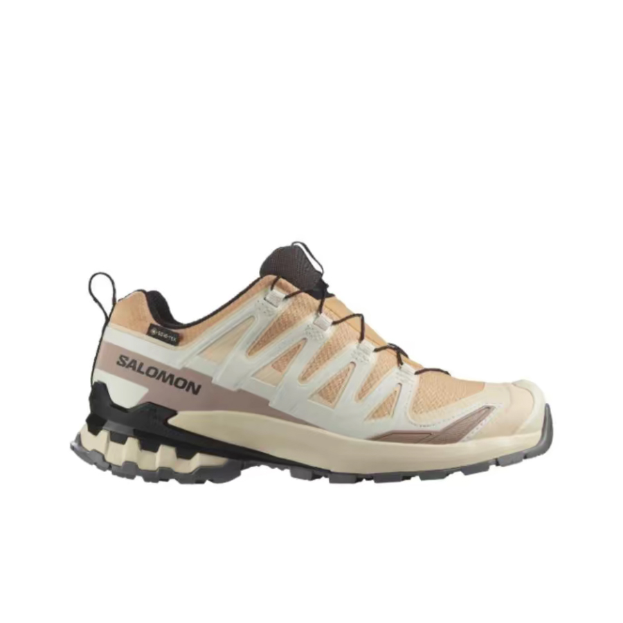 Salomon XA Pro 3D V9 GTX: Kadı - Salomon Shoes Xa Pro 3D incelemesi ve fiyatı